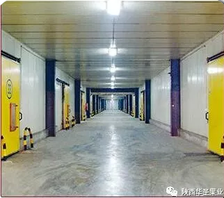 lehu - 乐虎 -(88国际)唯一官方网站