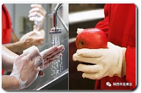 lehu - 乐虎 -(88国际)唯一官方网站