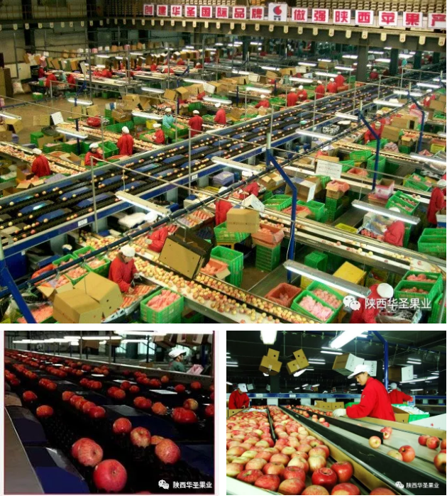 lehu - 乐虎 -(88国际)唯一官方网站