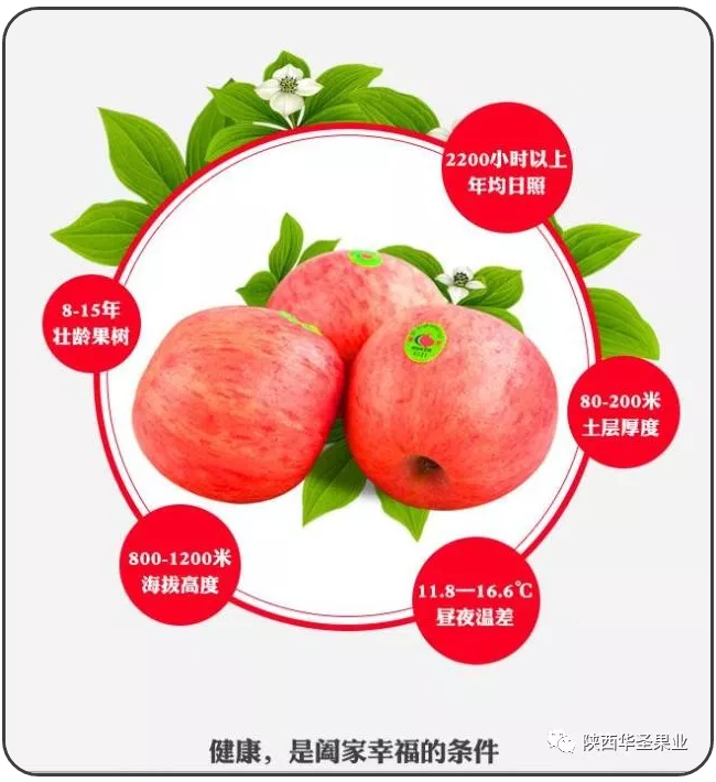 lehu - 乐虎 -(88国际)唯一官方网站