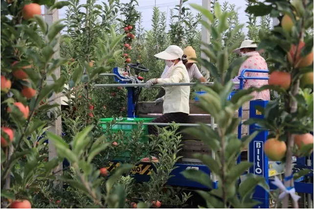 lehu - 乐虎 -(88国际)唯一官方网站