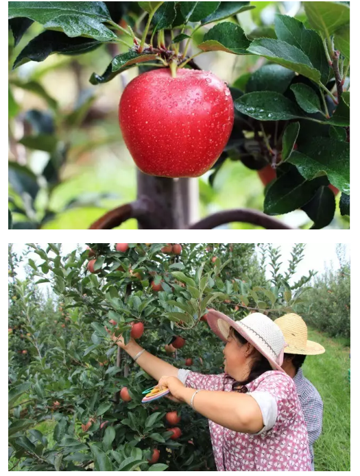 lehu - 乐虎 -(88国际)唯一官方网站