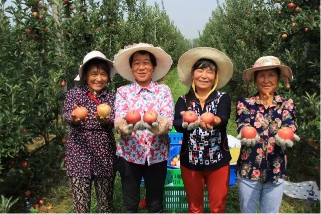 lehu - 乐虎 -(88国际)唯一官方网站