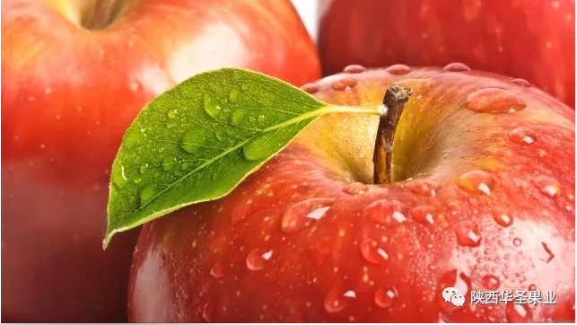 lehu - 乐虎 -(88国际)唯一官方网站