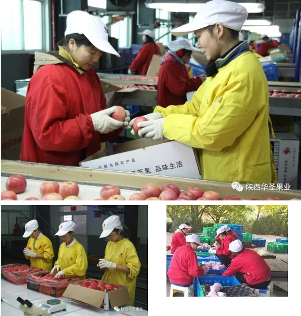 lehu - 乐虎 -(88国际)唯一官方网站