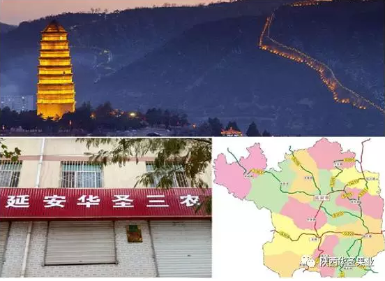 lehu - 乐虎 -(88国际)唯一官方网站