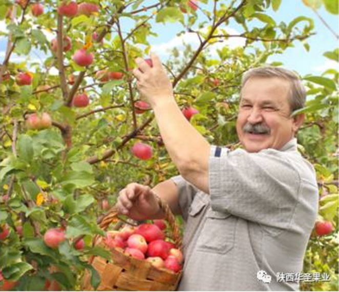 lehu - 乐虎 -(88国际)唯一官方网站