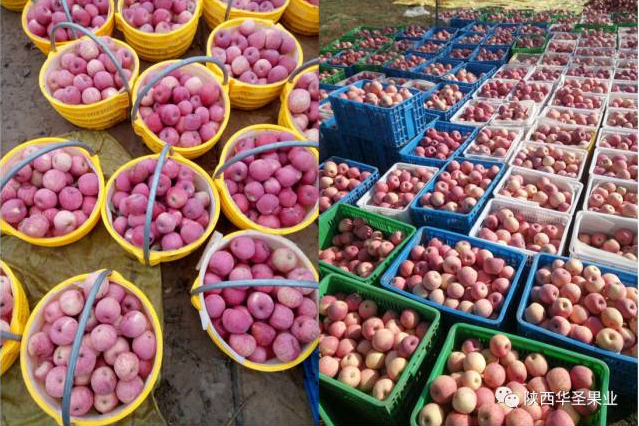 lehu - 乐虎 -(88国际)唯一官方网站