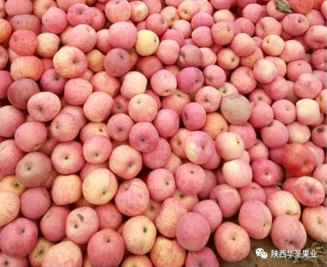 lehu - 乐虎 -(88国际)唯一官方网站