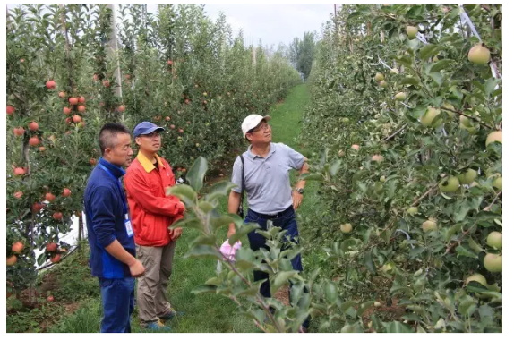 lehu - 乐虎 -(88国际)唯一官方网站