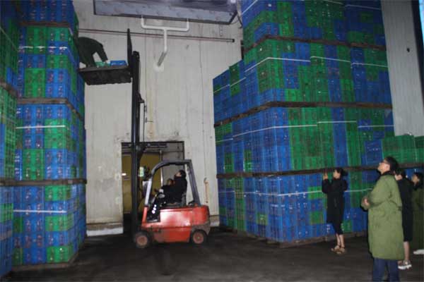 lehu - 乐虎 -(88国际)唯一官方网站