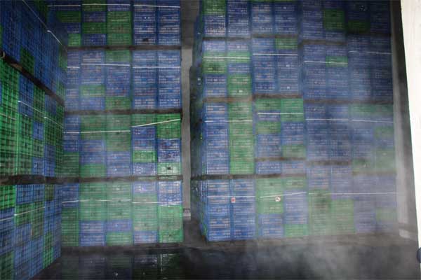 lehu - 乐虎 -(88国际)唯一官方网站