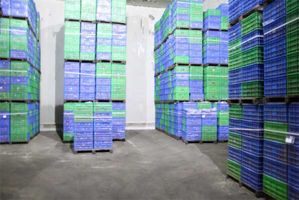 lehu - 乐虎 -(88国际)唯一官方网站