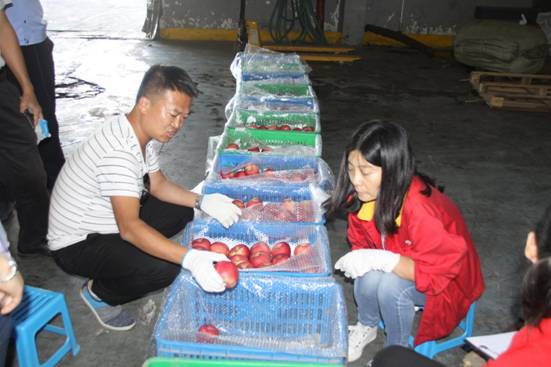 lehu - 乐虎 -(88国际)唯一官方网站