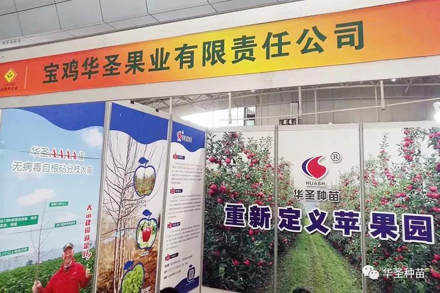 lehu - 乐虎 -(88国际)唯一官方网站