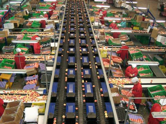 lehu - 乐虎 -(88国际)唯一官方网站