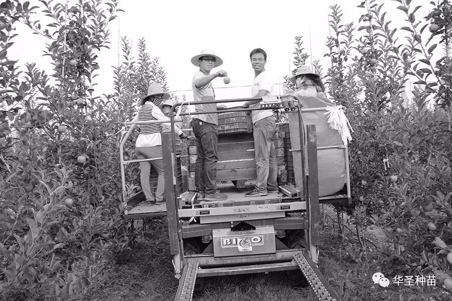 lehu - 乐虎 -(88国际)唯一官方网站