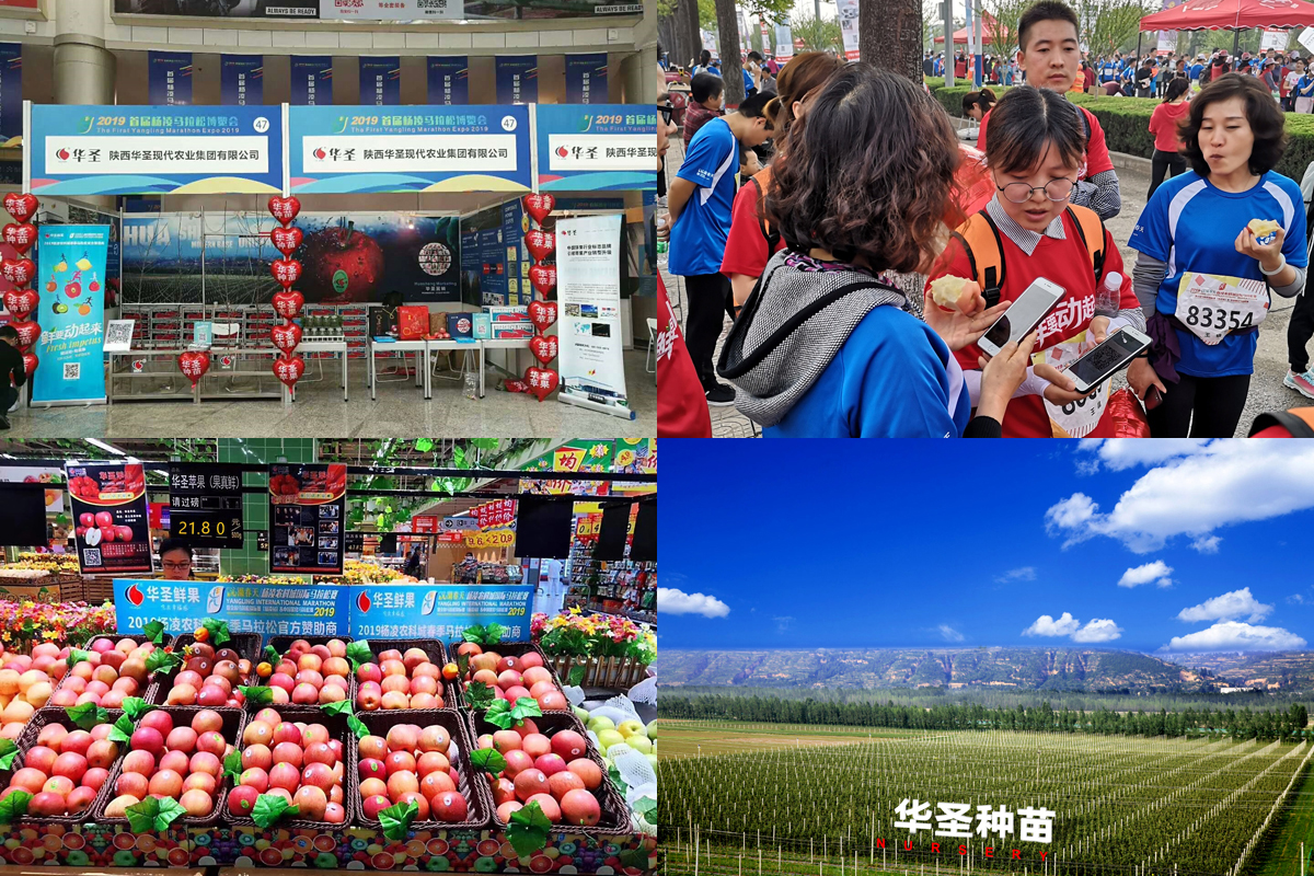 lehu - 乐虎 -(88国际)唯一官方网站